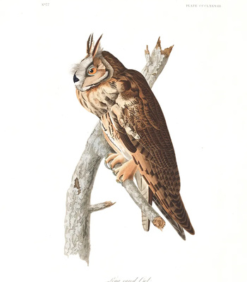 Agent Ada comic porn sex 152