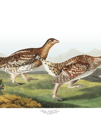 Agent Ada comic porn sex 154