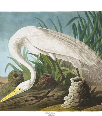 Agent Ada comic porn sex 156