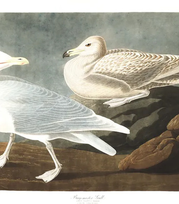 Agent Ada comic porn sex 166