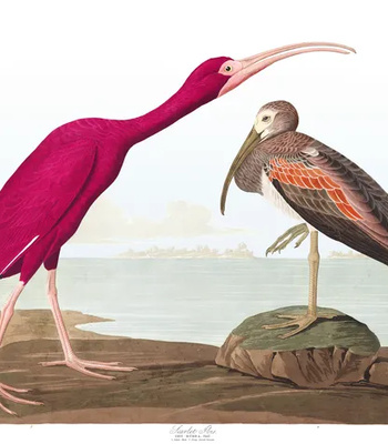 Agent Ada comic porn sex 167