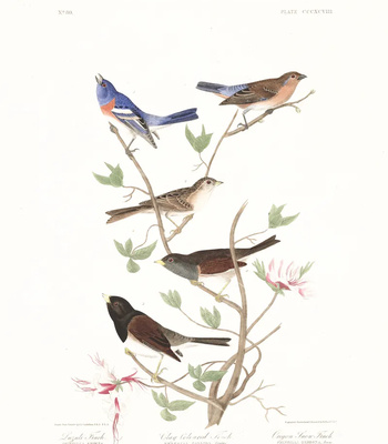 Agent Ada comic porn sex 168