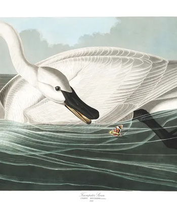 Agent Ada comic porn sex 176