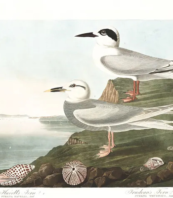 Agent Ada comic porn sex 179