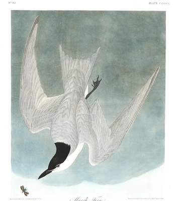 Agent Ada comic porn sex 180