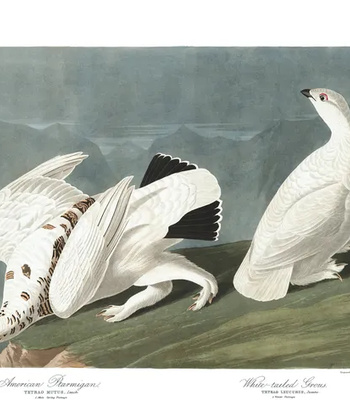 Agent Ada comic porn sex 188