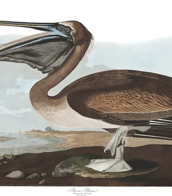 Agent Ada comic porn sex 191