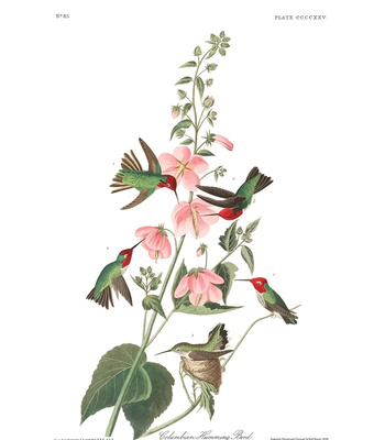 Agent Ada comic porn sex 195