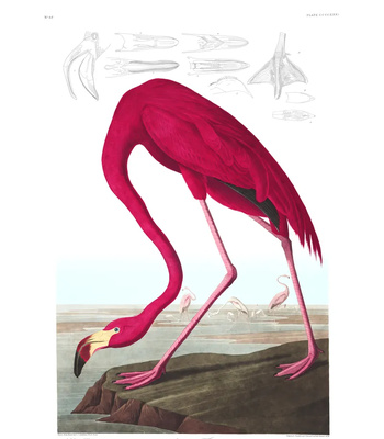 Agent Ada comic porn sex 201