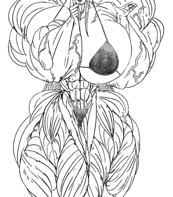 Minami Fuyuki’s Growth Diary comic porn sex 49