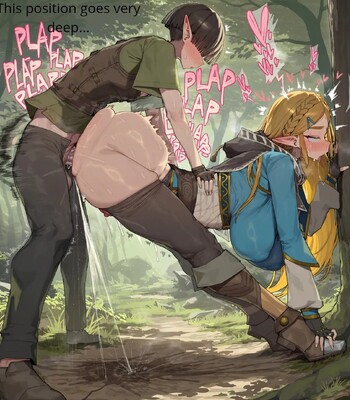 Zelda’s New Travelling Companion comic porn sex 44